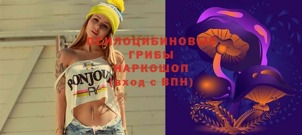 тгк Армянск